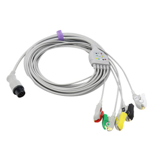 cavo paziente per ecg statico compatibile nihon coden - RAM Apparecchi cavo paziente per ecg statico compatibile nihon coden - RAM Apparecchi